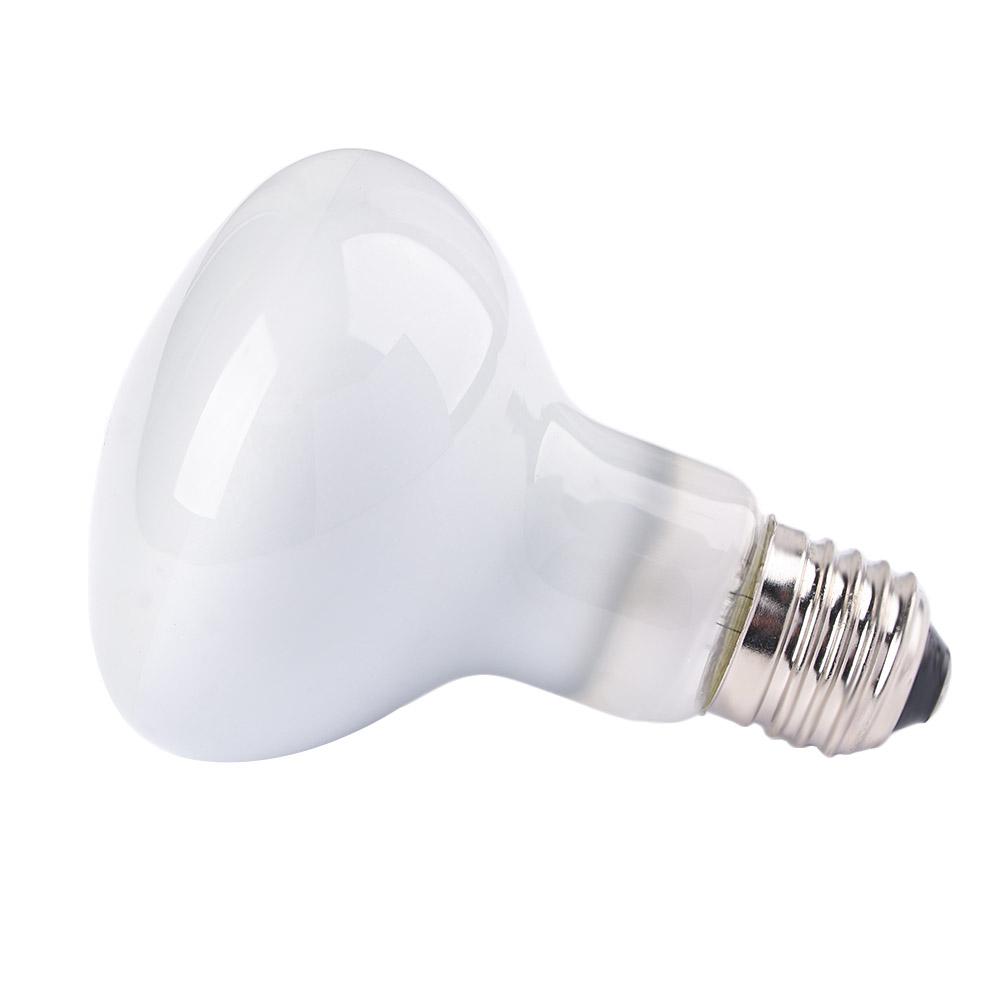Basking Bulb Halogen - Контроллер температуры для амфибий, нагреватель, галогенная