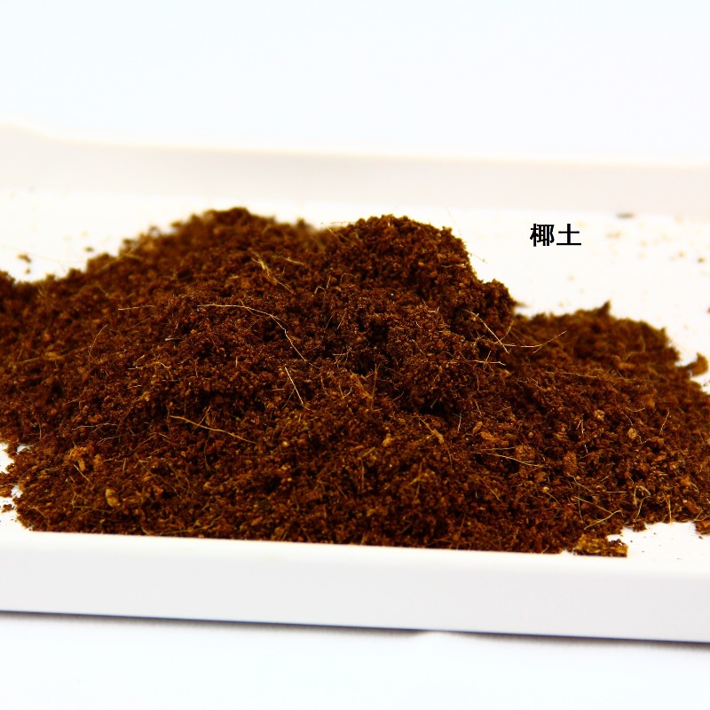 Кокосовый субстрат для рептили – обзор и цена Substrate Coconut Fiber