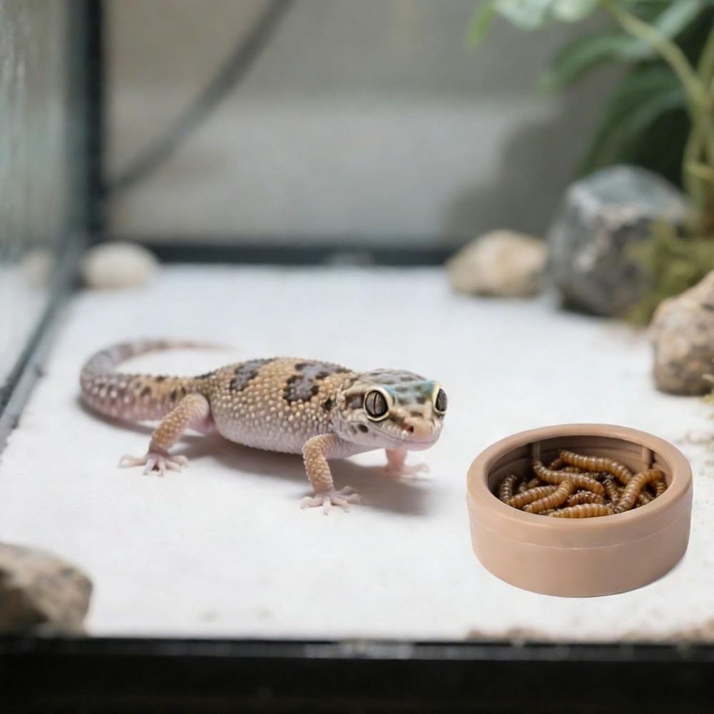 Портативная непроливаемая миск – обзор и цена Water Dish Reptile