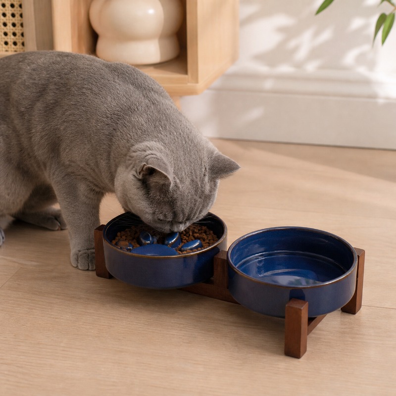 Керамическая миска для кошек и – обзор и цена Royal Canin Food Medium